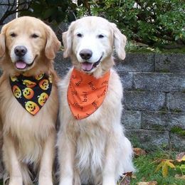 Golden Retrievers from Gwen Sieben's Golden Retrievers