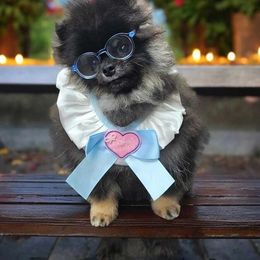 Cerberus - Black and tan male Pomeranian puppy in Pueblo, Colorado from Rocky Mountain Pomeranians