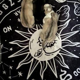 Siberian Husky Puppies from Vixen Siberians