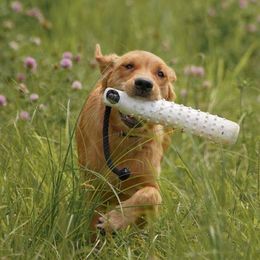 Golden Retrievers from UpSouth Golden Retrievers