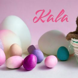 Goldendoodle Puppies from Goldendoodles of Anchor Bay