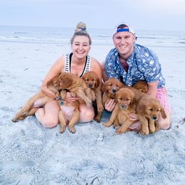 Golden Retriever Puppies from Salty Goldens