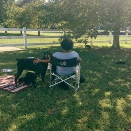Doberman Pinscher Puppies from Lexa Dobermans