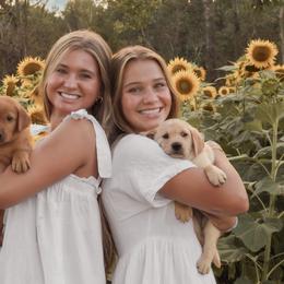 Labrador Retriever Puppies from UC Labradors