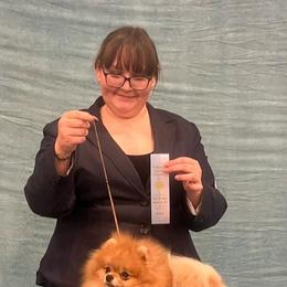 Jones - Pomeranian