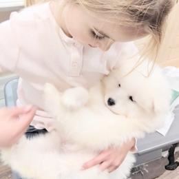 Samoyed Puppies from OrangeLine Samoyeds
