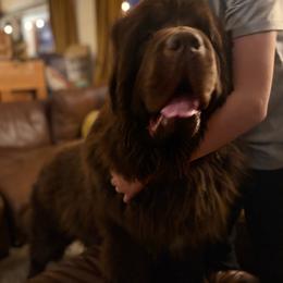 Copper - Newfoundland