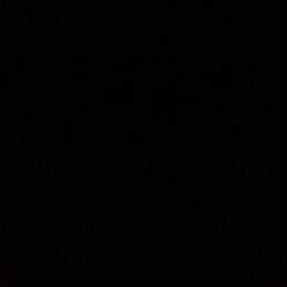 Belle - Black brown and white female Basset Hound puppy in Yarnell, Arizona from Boulder Oak Bassets