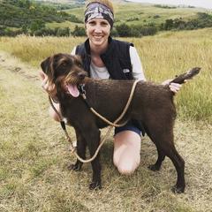 Pudelpointer All Grown Up from Rebel Point Pudelpointers