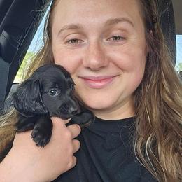 AKC Purple Girl - Black female Dachshund puppy in Bartlesville, Oklahoma from OkieDokieDox