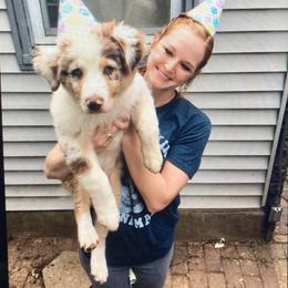 Australian Shepherd Puppies from Cannonrun Aussies
