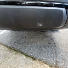 Cane Corso from Southern Sugar Cane Corso LLC