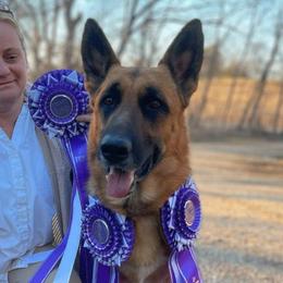 German Shepherds from Vacker Warin Engel