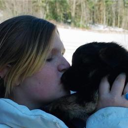 German Shepherd and Miniature American Shepherd Puppies from Bouchard’s Best Shepherds