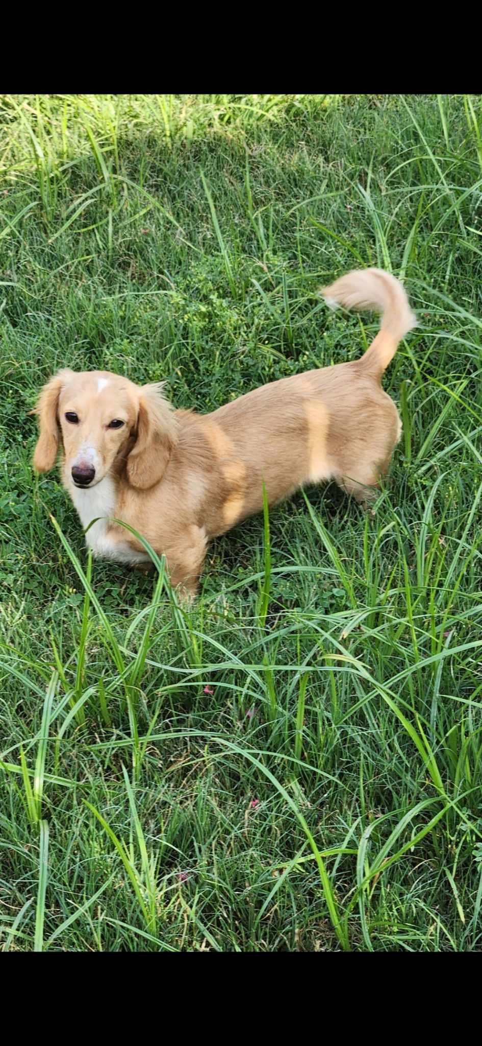 Bella