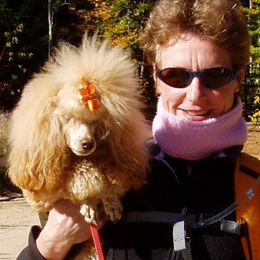 Poodles from Betse Curtis's Poodles