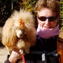 Poodles from Betse Curtis's Poodles