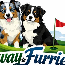 Toy Australian Shepherds from Fairway Furries