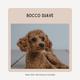 Rocco