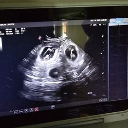 Goldendoodle puppies from Georgetown designer and purebred puppies