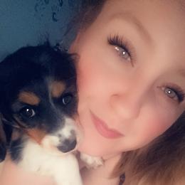 Dachshund and Miniature Australian Shepherd Puppies from Southern Charm Kennels