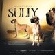 Sully
