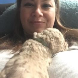 Goldendoodle Puppies from Da Ruba Doodles
