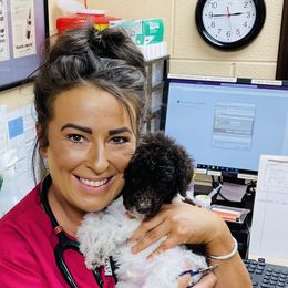 Goldendoodle Puppies from Labradoodleday