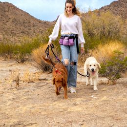 Golden Retriever Puppies from Top Gun Golden Retrievers