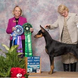 Doberman Pinschers from Kettle Cove Dobermans