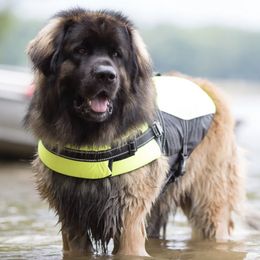Leonbergers from Water’s Edge Leonbergers