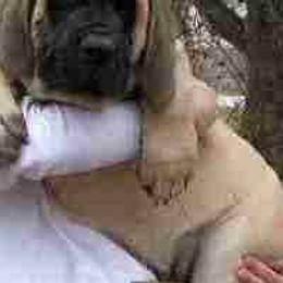Mastiff Puppies from Hug-A-Mug Mastiffs