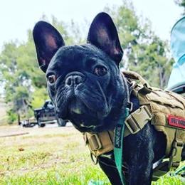 French Bulldogs from SK Frenchies