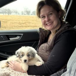 Aussiedoodle and Australian Shepherd Puppies from Dollface Aussies