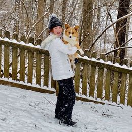 Bernese Mountain Dog and Pembroke Welsh Corgi Puppies from Highland Meadows