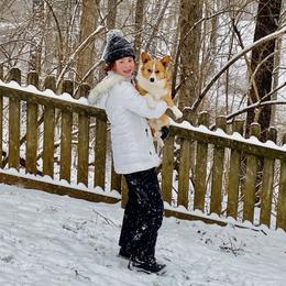 Bernese Mountain Dog and Pembroke Welsh Corgi Puppies from Highland Meadows