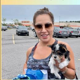 Biewer Terrier and Yorkshire Terrier Puppies from Southeast Biewers