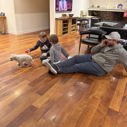 Goldendoodle Puppies from Arizona Doodles