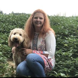 Goldendoodle All Grown Up from Doodles by Piper