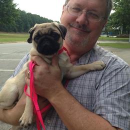 Pug Puppies from Pickwick Pugs