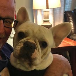 June - French Bulldog