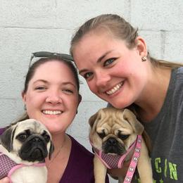 Pug Puppies from House of Briggs Pugs