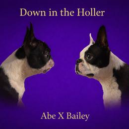 Boston Terrier puppies from Down in the Holler