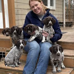 German Shorthaired Pointer Puppies from Chrishelle Farm