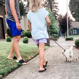 Australian Labradoodle Puppies from Tiny Treasures Australian Labradoodles