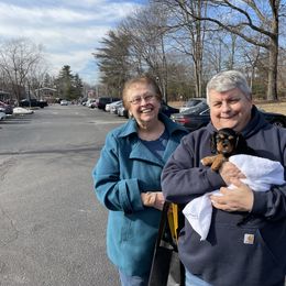 Cavalier King Charles Spaniel Puppies from Meant To Be Cavalier King Charles Spaniels