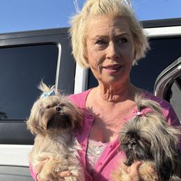 Shih Tzus from Becca Wilde