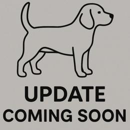 Tide - Black and white male Beagle puppy in Rose Bud, Arkansas from Rajun Cajun Kennels