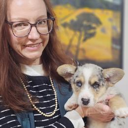 AKC - Quad Clear Merle - Boy 2 - Blue merle and white male Cardigan Welsh Corgi puppy in Tombstone, Arizona from WeVolution Off-Grid