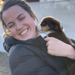 Toy Australian Shepherd Puppies from Roses Halfpint Ranch